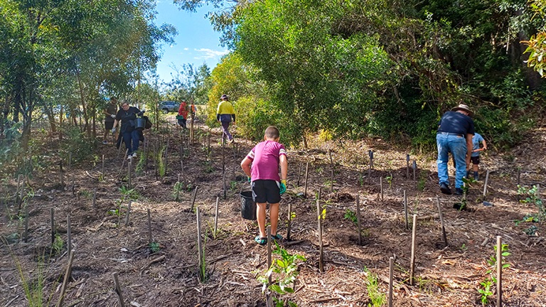 Community tree planting at Booral